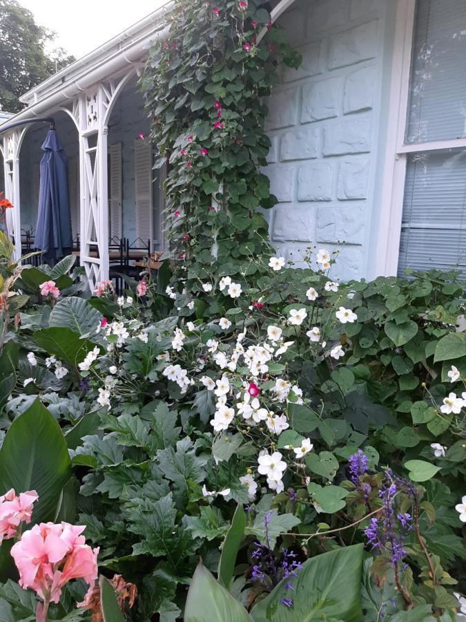 Bed and Breakfast Adley House Oudtshoorn Exterior foto